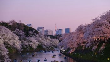 boats on body of water